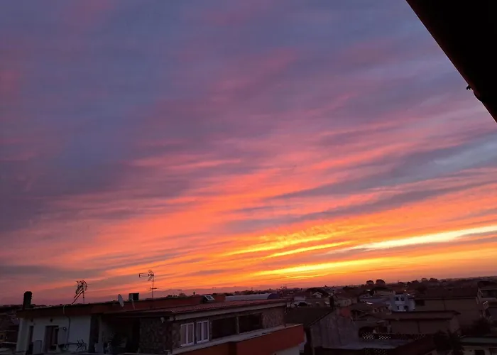 Mirasole